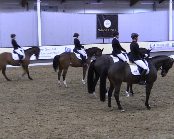 Reitturnier Münster-Handorf 2019