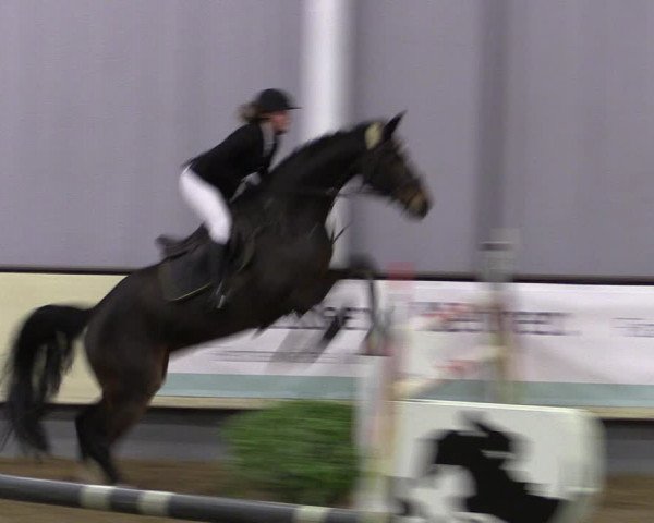 Reitturnier Münster-Handorf 2019