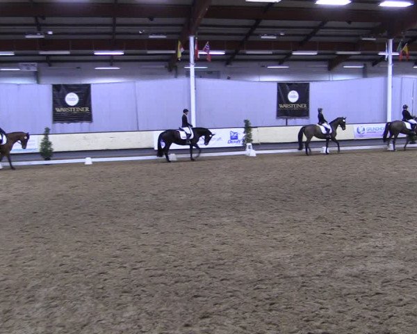 Reitturnier Münster-Handorf 2019