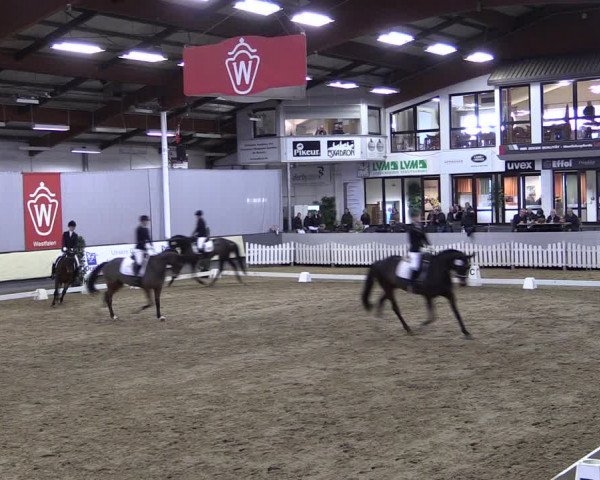 Reitturnier Münster-Handorf 2019