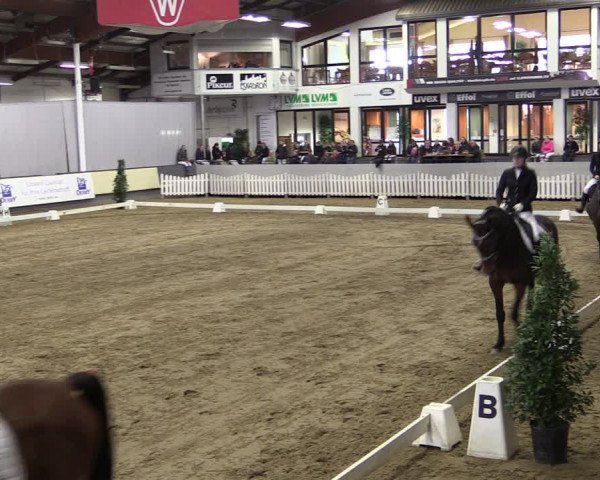 Reitturnier Münster-Handorf 2019