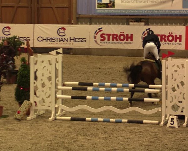 Nordic Jumping events 2019