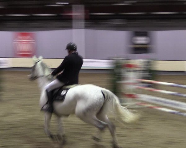 Reitturnier Münster-Handorf 2019