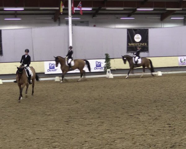 Reitturnier Münster-Handorf 2019