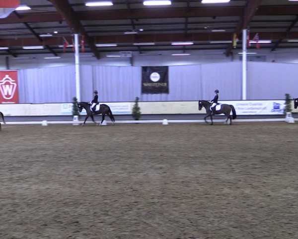 Reitturnier Münster-Handorf 2019