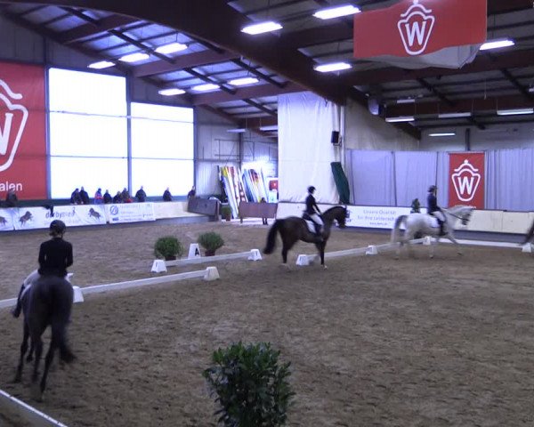 Reitturnier Münster-Handorf 2019