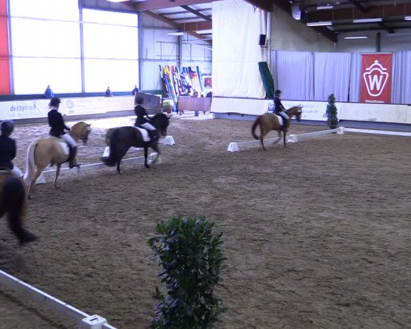 Reitturnier Münster-Handorf 2019