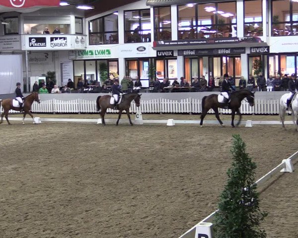 Reitturnier Münster-Handorf 2019