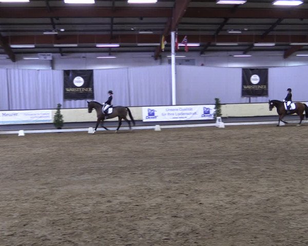 Reitturnier Münster-Handorf 2019