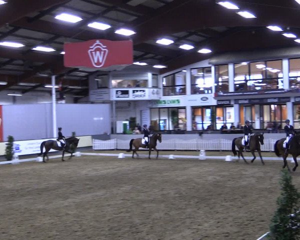 Reitturnier Münster-Handorf 2019