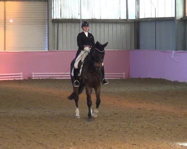 Reitturnier Troisdorf - Haus Rott 2019