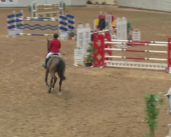 Reitturnier Kreuth/Opf. 2019