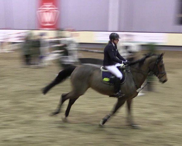 Reitturnier Münster-Handorf 2019