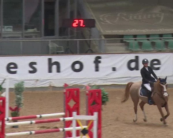 Reitturnier Kreuth/Opf. 2019