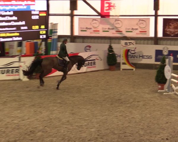 Nordic Jumping events 2019