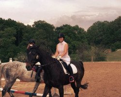 jumper Lasino's Dream (Holsteiner, 1996, from Lasino)