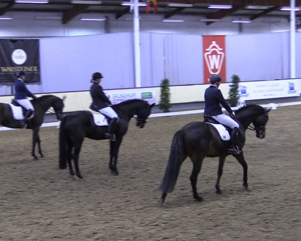 Reitturnier Münster-Handorf 2019