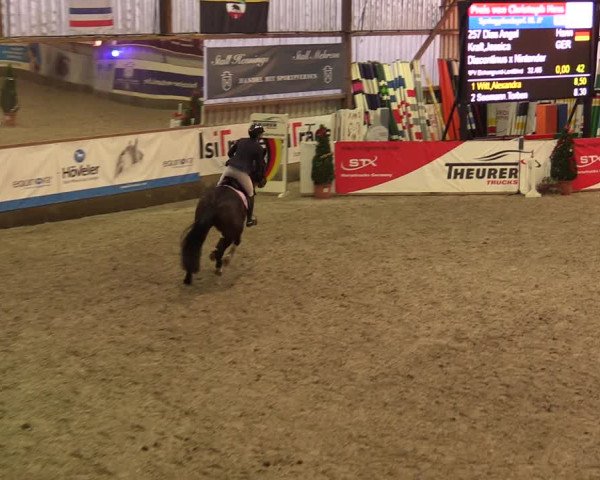 Nordic Jumping events 2019