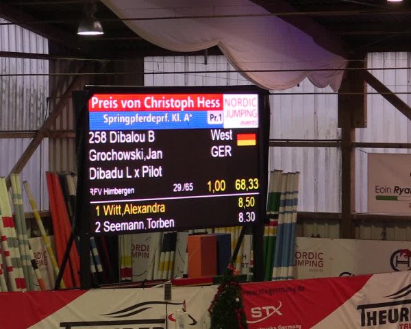 Nordic Jumping events 2019
