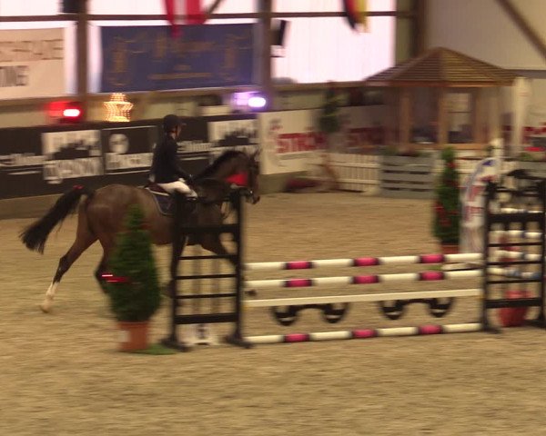Nordic Jumping events 2019