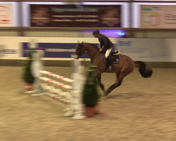 Nordic Jumping events 2019