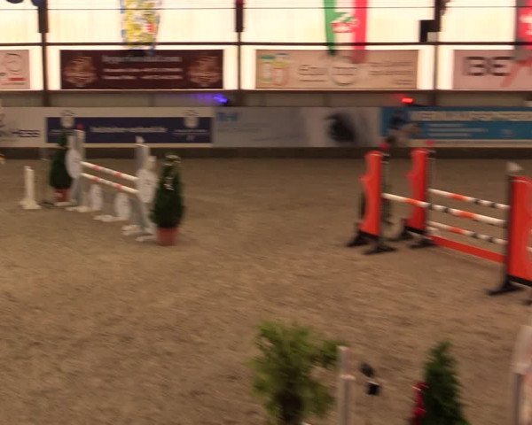Nordic Jumping events 2019