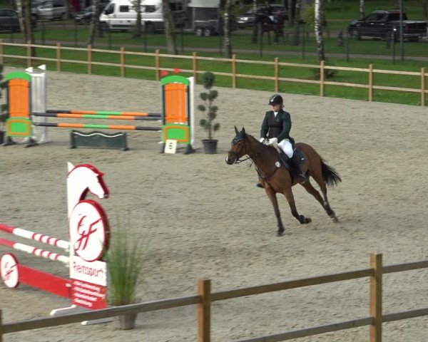 Reitturnier Westergellersen 2021