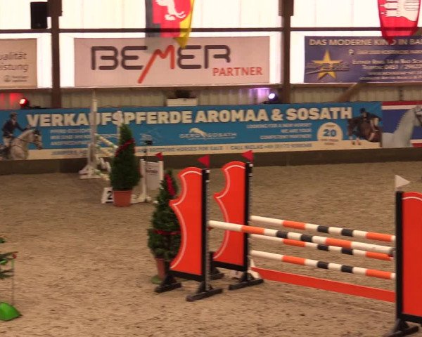 Nordic Jumping events 2019