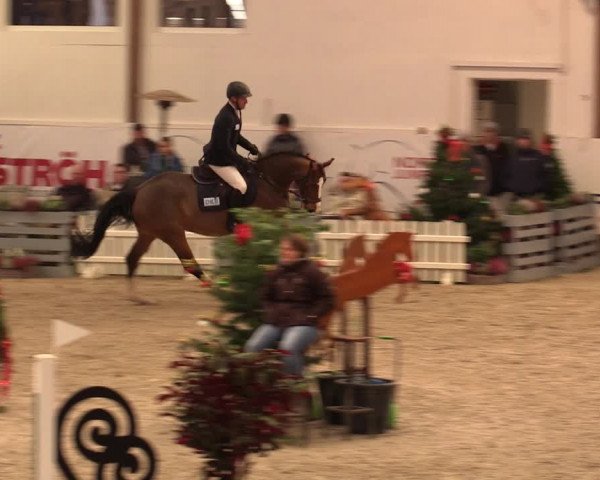 Nordic Jumping events 2019