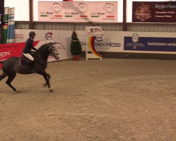 Nordic Jumping events 2019
