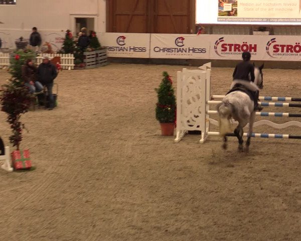Nordic Jumping events 2019