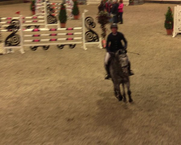 Nordic Jumping events 2019