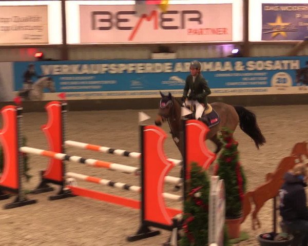 Nordic Jumping events 2019