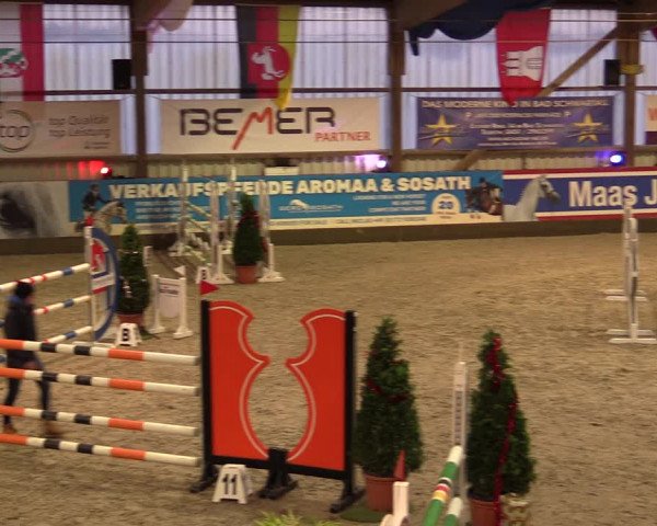 Nordic Jumping events 2019
