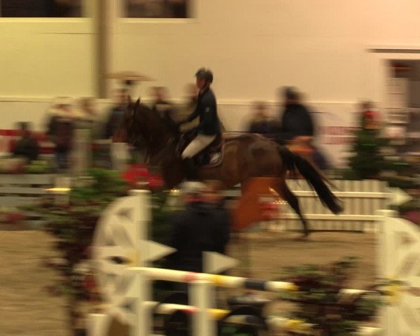 Nordic Jumping events 2019