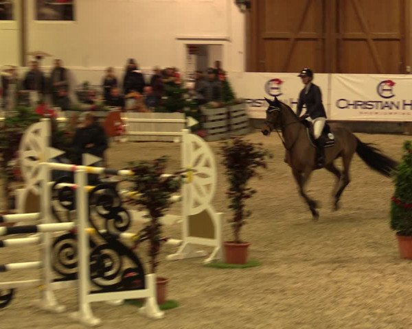 Nordic Jumping events 2019