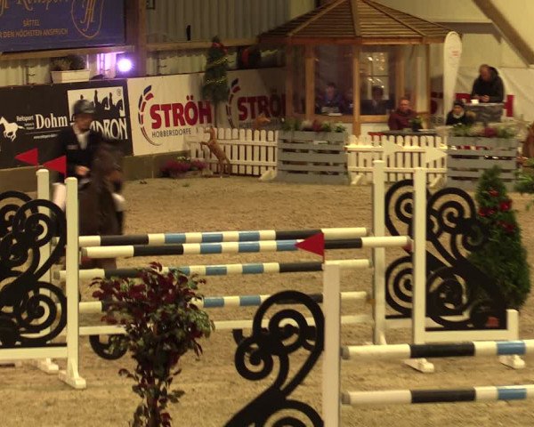 Nordic Jumping events 2019