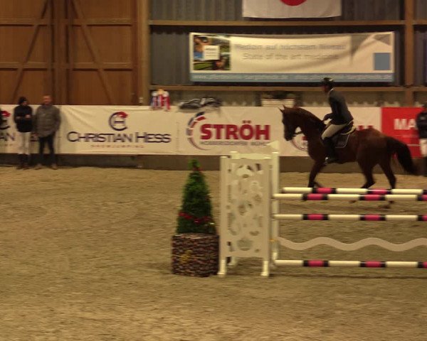 Nordic Jumping events 2019