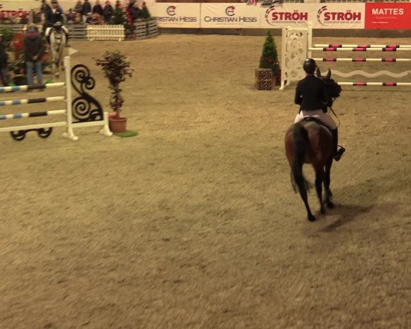Nordic Jumping events 2019