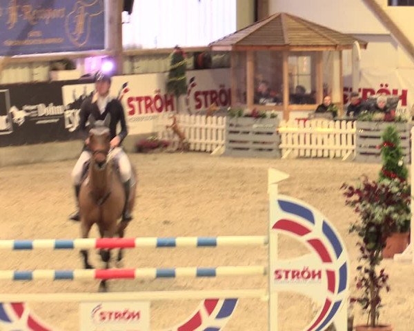 Nordic Jumping events 2019