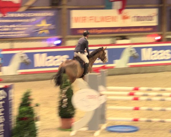 Nordic Jumping events 2019