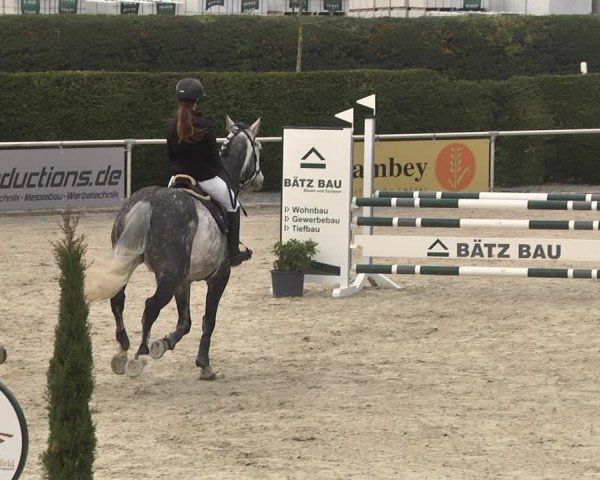 Reitturnier Durmersheim-Hardt 2021