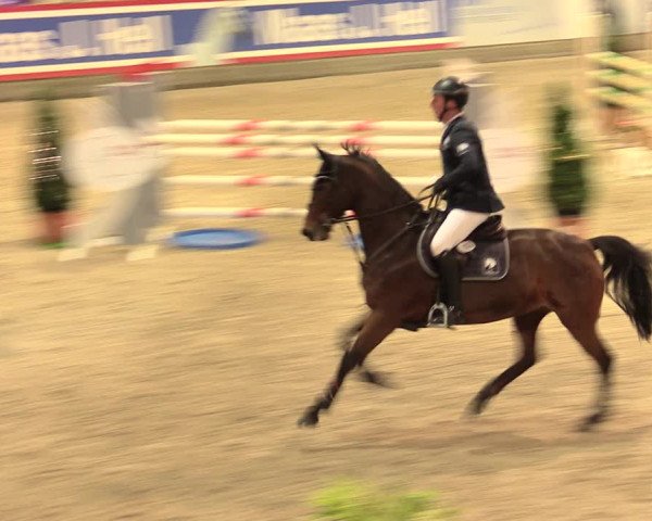 Nordic Jumping events 2019