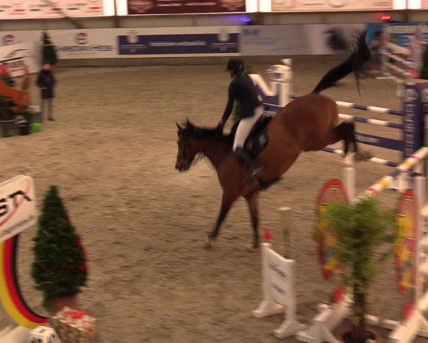 Nordic Jumping events 2019