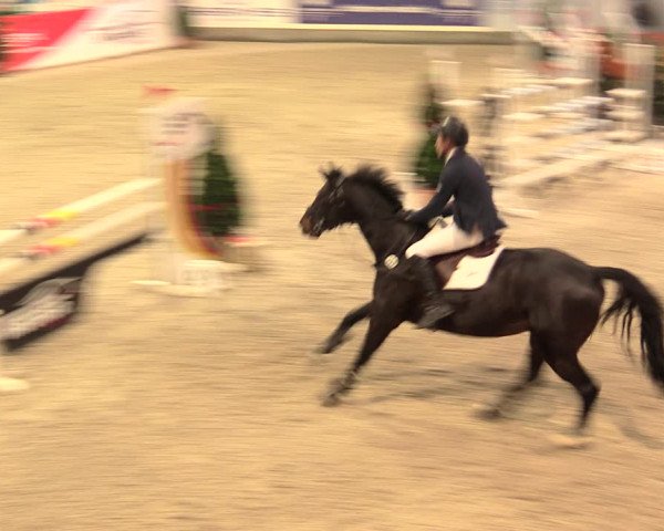 Nordic Jumping events 2019