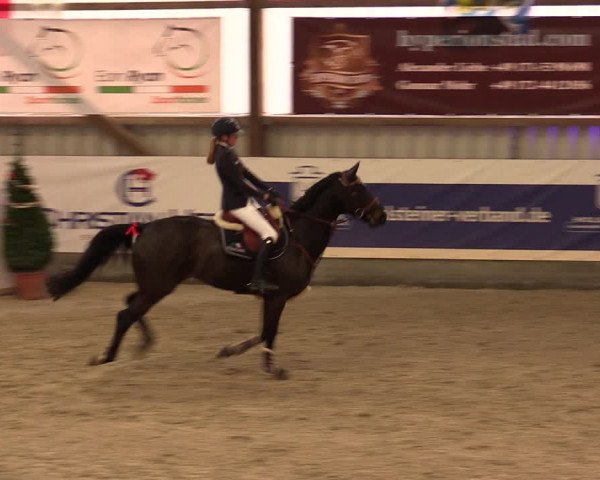Nordic Jumping events 2019