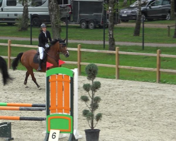 Reitturnier Westergellersen 2021