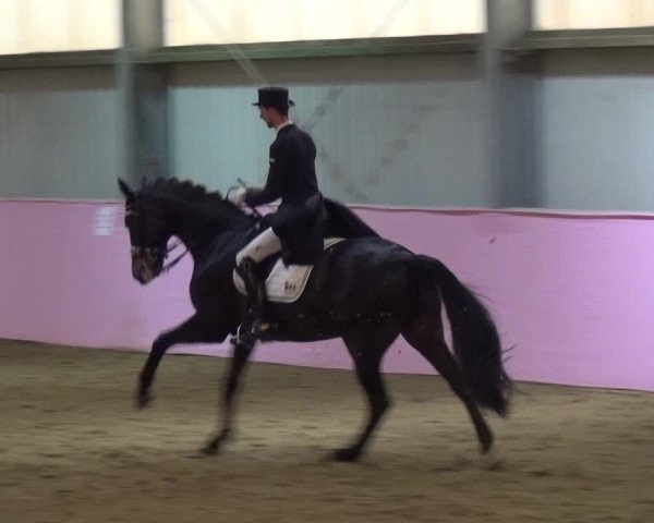 Reitturnier Troisdorf - Haus Rott 2019