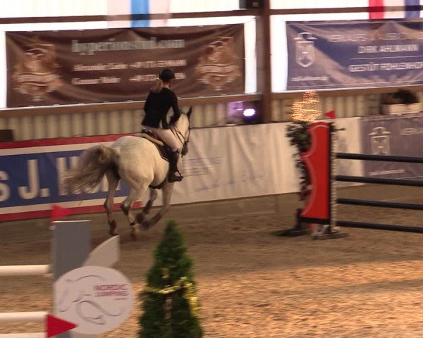 Nordic Jumping events 2019