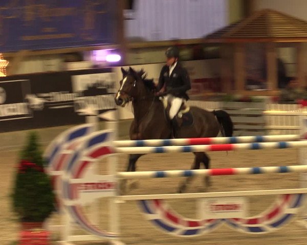 Nordic Jumping events 2019